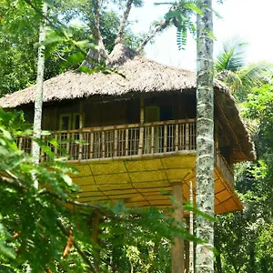 Kalidasa Tree House And Villa, Wayanad , Chegāt Indien